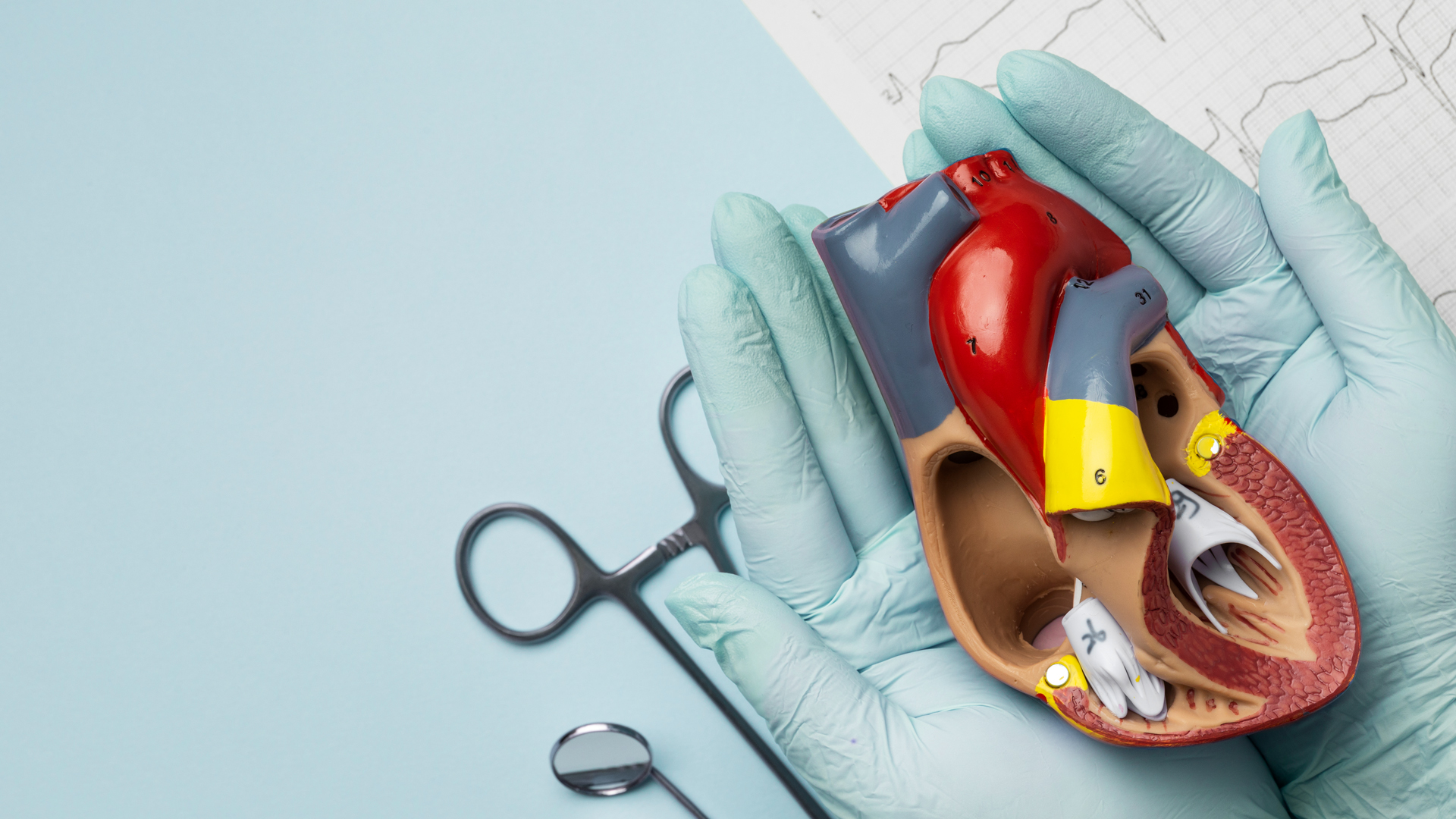 Coronary Artery Bypass Graft